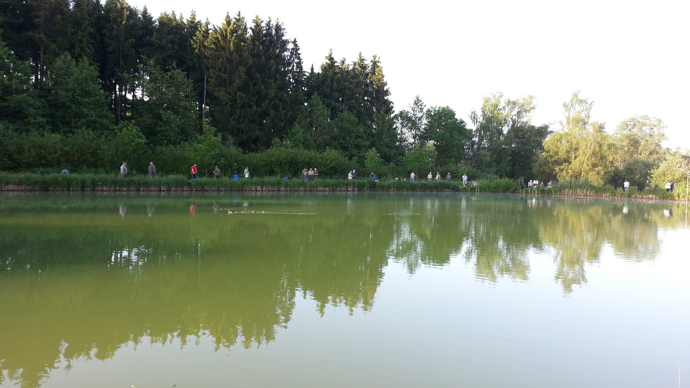 Galeriebild: 20140608 065600